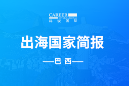 K8官网GO GLOBAL | 巴西国家简报